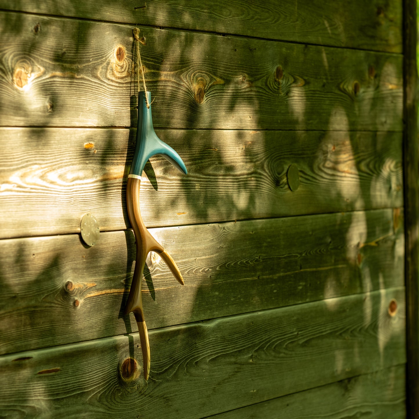 Deer Antlers