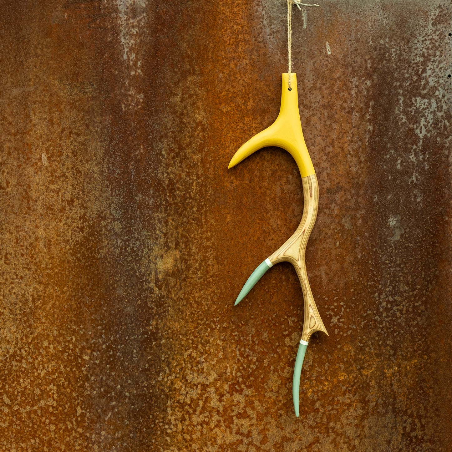 Deer Antlers