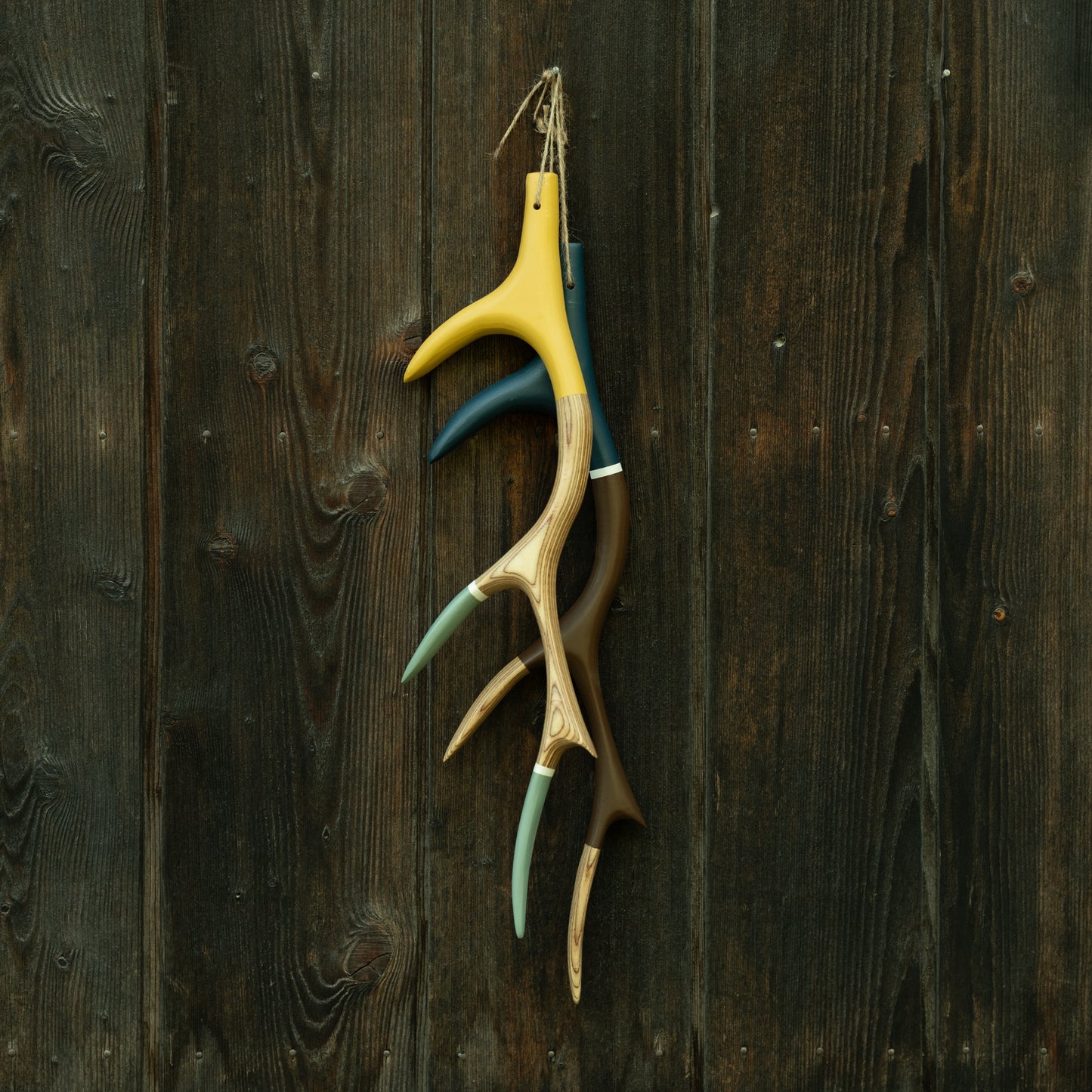 Deer Antlers
