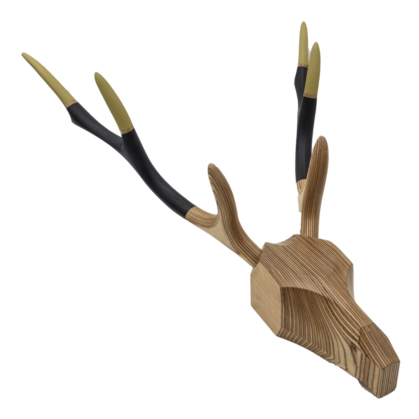 Deer Hunting Trophy