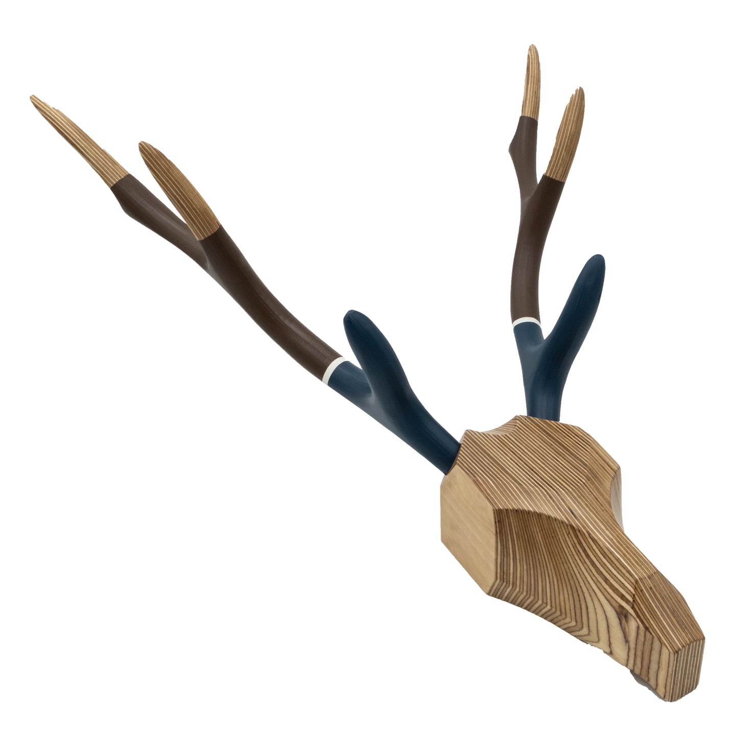 Deer Hunting Trophy