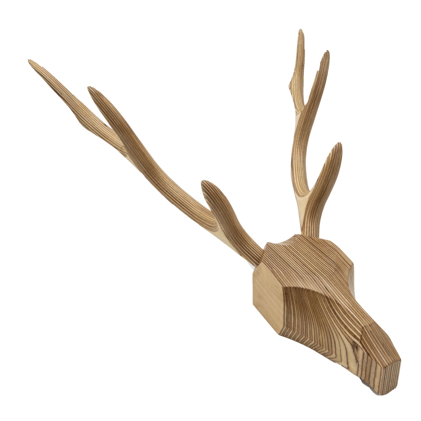 Deer Hunting Trophy