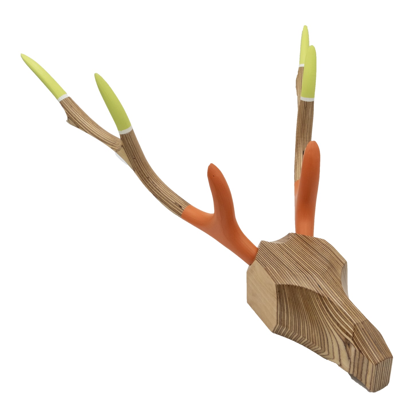 Deer Hunting Trophy