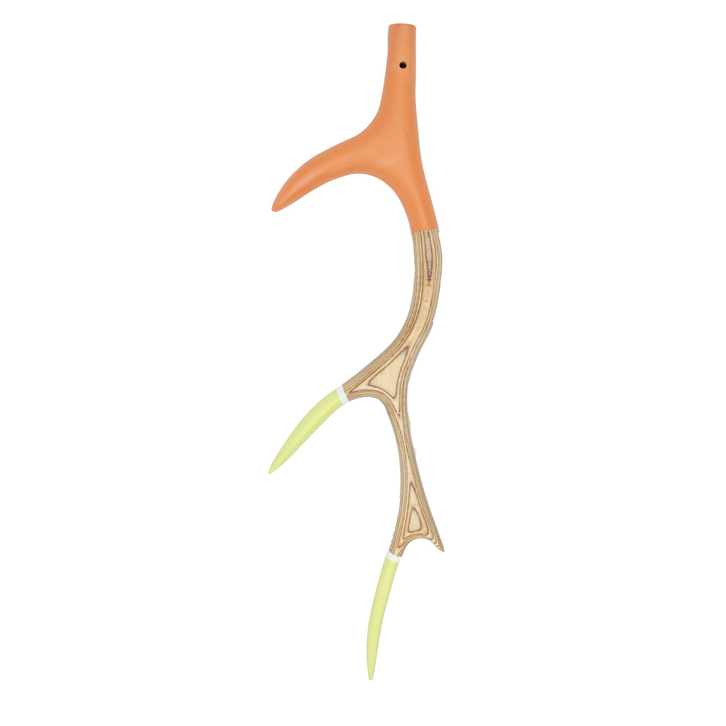 Deer Antlers