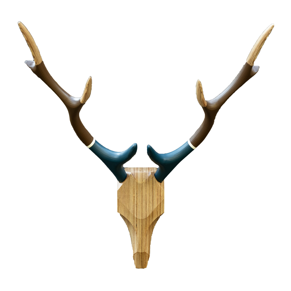 DEER HUNTING TROPHY